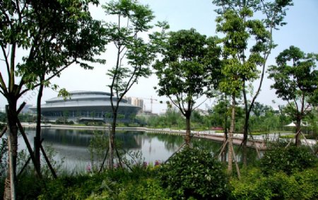2009杭州园林绿化公园河道图片