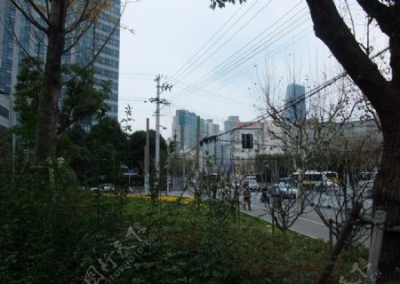上海街头游园绿地照片图片
