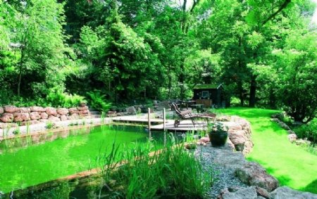 豪华别墅庄园里的池塘图片