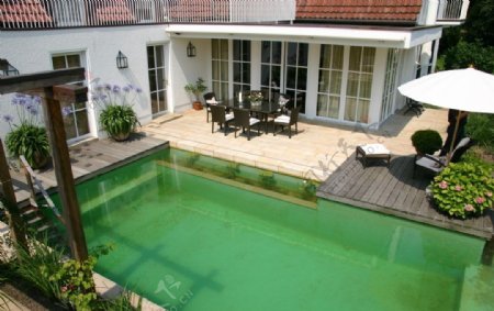豪华别墅庄园里的游泳池图片