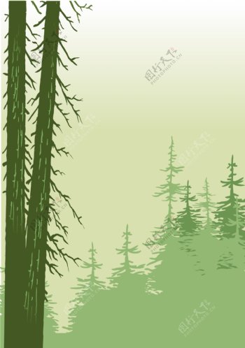 矢量树林图片