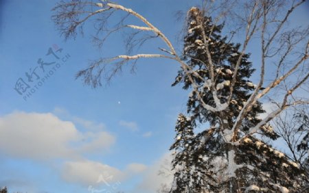 雪后蓝天图片