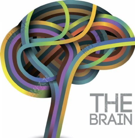 大脑思维树图片