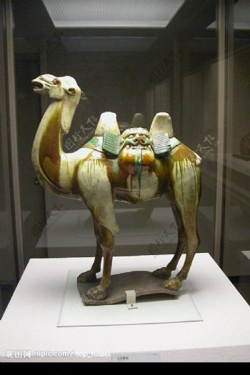唐三彩骆驼图片