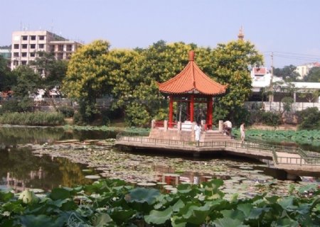 湖中亭景图片