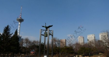 沈阳青年公园广场图片