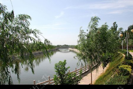 滨河公园河边图片