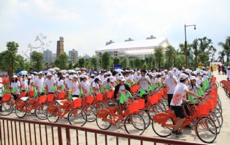 桂城自行车赛图片