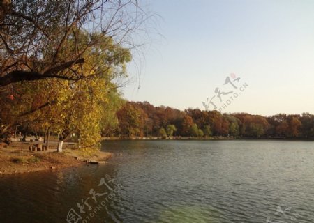紫霞湖图片