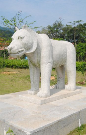 北辰山石雕狮子图片
