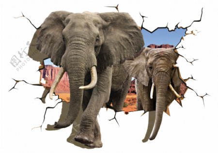 3D大象图片