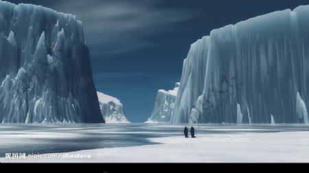 南极冰山小企鹅图片