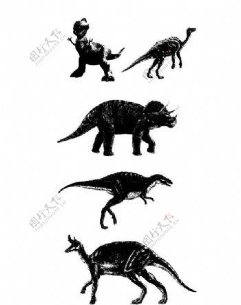 黑白恐龙色图片