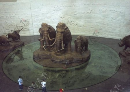 猛犸象雕塑图片