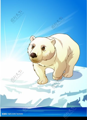 动物插画北极熊图片