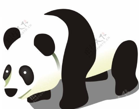 开心牧场熊猫图片