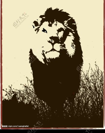 草原狮子图片