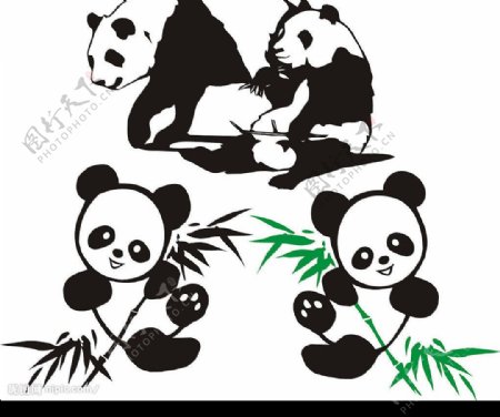 熊猫矢量图图片