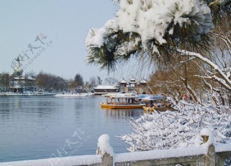 五亭桥冬季图片