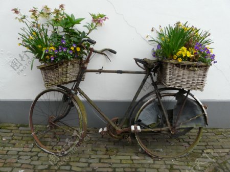 怀旧自行车图片