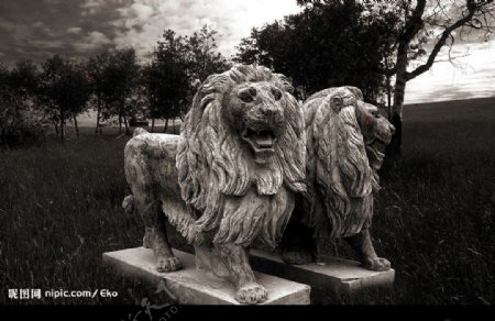 很有气势的雕塑狮子二头图片