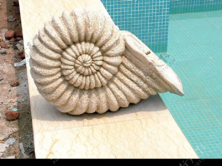 海螺雕塑图片