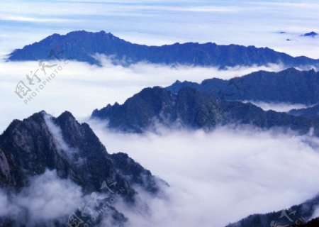 大岭云海图片