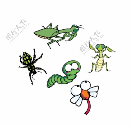 昆虫插画图片