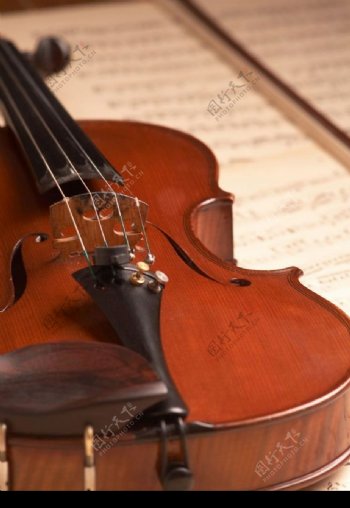 大提琴琴弦图片