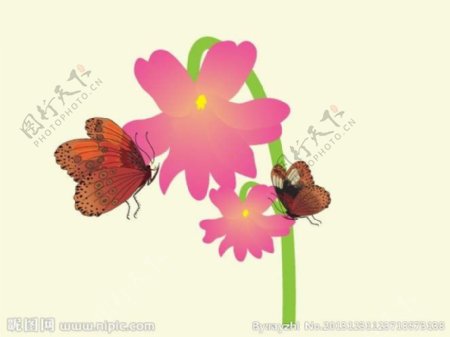 蝴蝶花矢量图图片