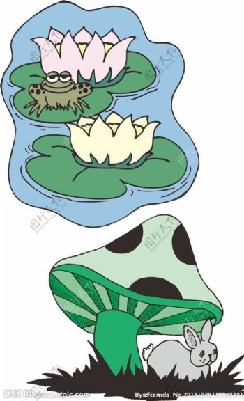 青蛙动物插画图片