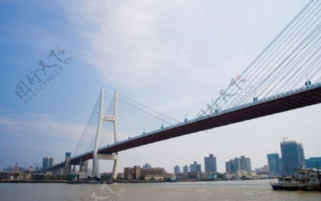 上海南浦大桥图片
