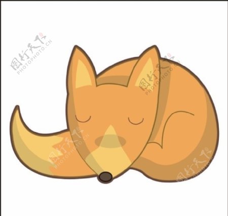 睡着了的狐狸图片