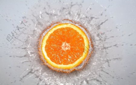 鲜果橙水花图片