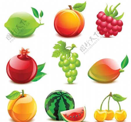 水果矢量素材图片