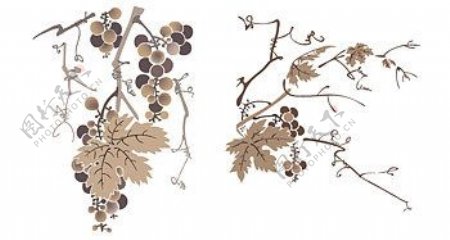 水墨风格葡萄树矢量素材图片