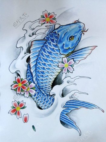 阿亮传统刺青画集跃池鲤蓝色图片