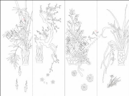 花盆中的梅兰竹菊图片