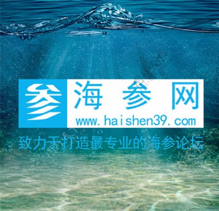 海参网logo图片