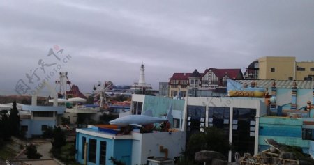 青岛极地海洋馆图片