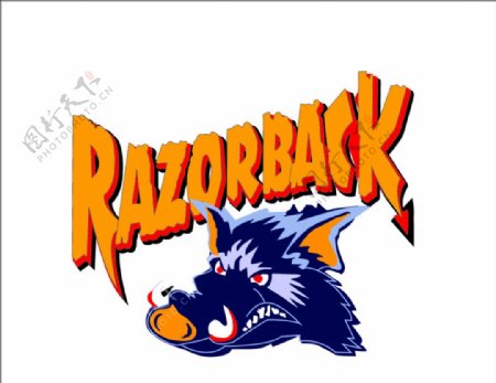 razorback剃刀鲸图片