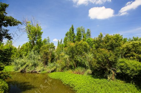 西溪湿地图片