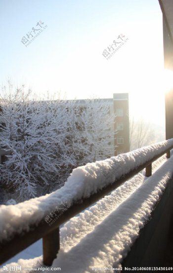 汇佳学校雪景图片