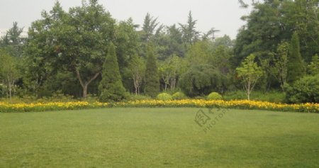 草坪绿树花卉图片