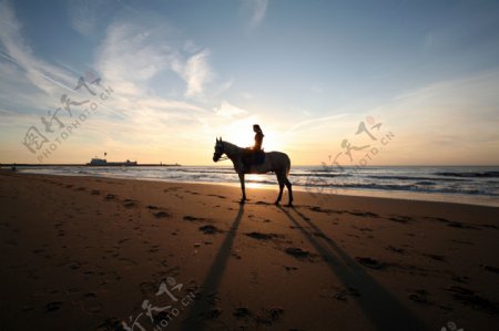 大海沙滩骑马图片