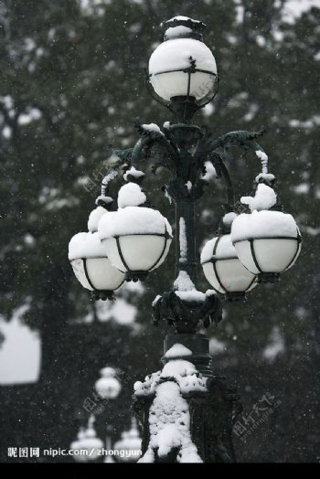 覆盖白色积雪的路灯图片