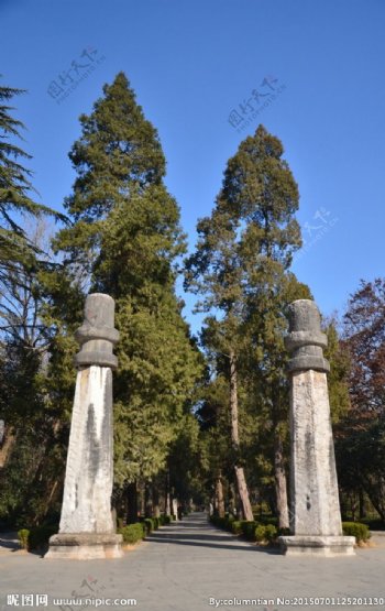 明孝陵神道石柱图片