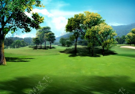 高尔夫球场绿化图片