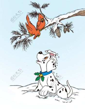 斑点狗和小鸟图片