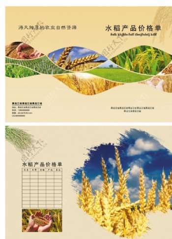 水稻大米粮油画册图片